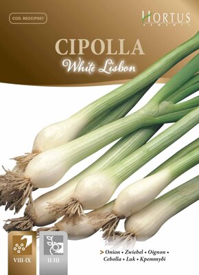 Cibule kuchyňská White Lisbon, 3,5 g semen. Exp. 12/24.