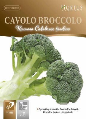 Brokolice Ramoso Calabrese tardivo, 5 g semen. Exp. 12/24