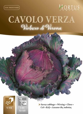 Kadeřávek fialový Violaceo di Verona, semena 5 g.. Exp. 12/24.
