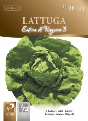 Salát hlávkový Estiva di Kagran 3, semena 6 g. Exp. 12/24.