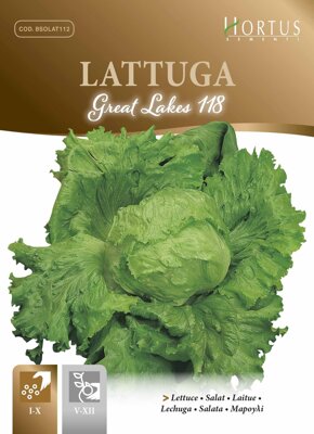 Salát ledový Great Lakes 118, semena 6 g. 