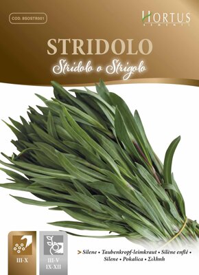 Silenka nadmutá Stridolo o Strigolo, 1,5 g semen. Exp. 12/24.