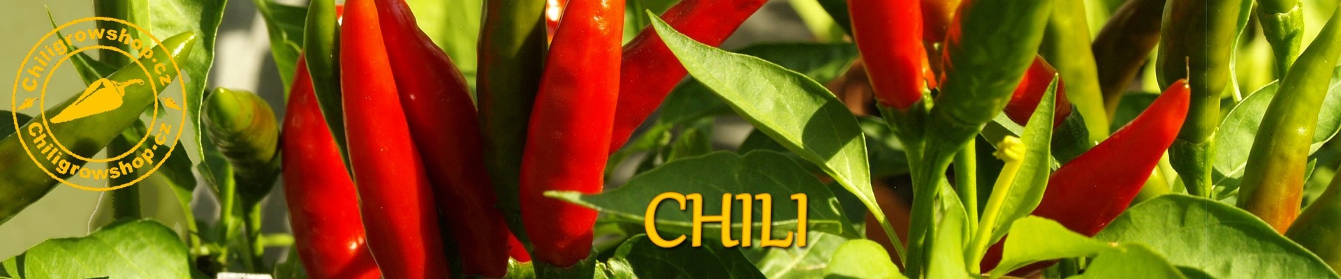 Chili2