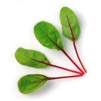 Baby Leaves