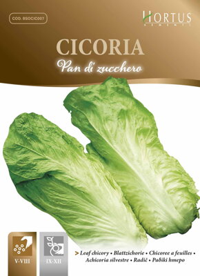 Čekanka listová slatká di Zucchero, semena 10 g.