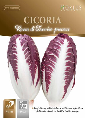 Čekanka listová červená raná Di Treviso, semena 10 g.