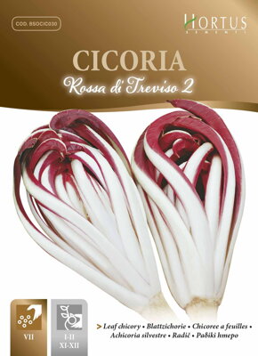 Čekanka listová červená di Treviso 2, semena 10 g.