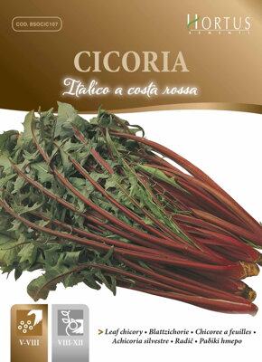 Čekanka Italico a Costa Rossa, semena 10 g.