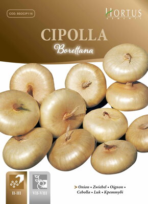 Cibule Borettana, semena 2,5 g.