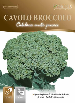 Brokolice Calabrese, semena 5,5 g.