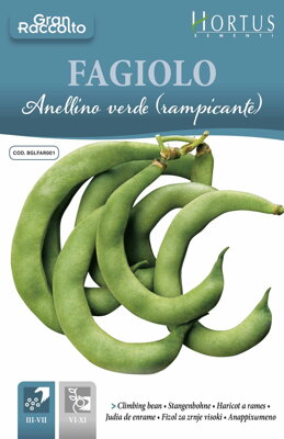Fazol tyčkový Anellino Verde, semena 40 g.