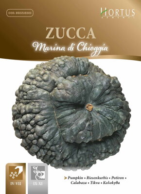 Tykev obrovská Marina di Chioggia, semena 4 g.