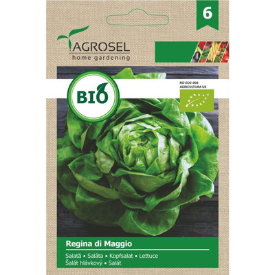 BIO semena salátu Regina di Maggio, 2,5 g