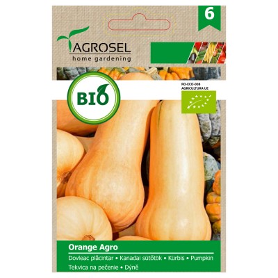 BIO semena dýně Orange Agro, 3 g.