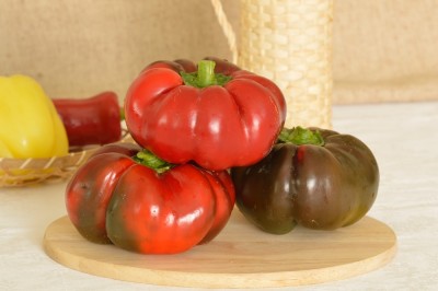 Paprika Traian F1, 20 semien