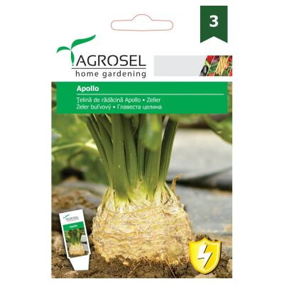 Celer Apollo, semena 0,10 g.