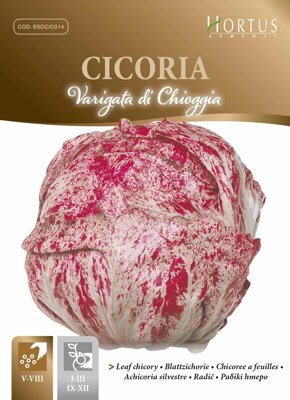 Čekanka listová Di Chioggia, semena 10 g. 