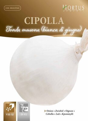 Cibule kuchyňská bílá Tonda musona, 3,5 g semen