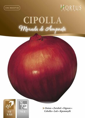 Cibule kuchyňská Morada de Amposta, 3,5 g semen. Exp. 12/23.