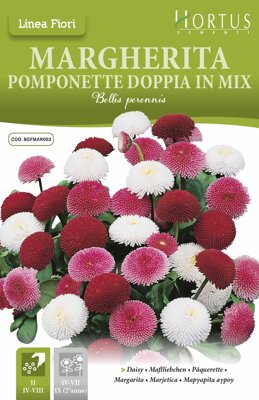 Sedmikráska Pomponette, mix barev, semena 0,2 g.