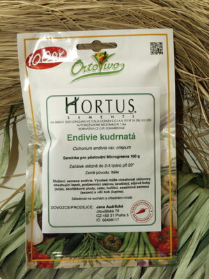Endivie kudrnatá, čekanka, semínka pro pěstování microgreens, 100 g