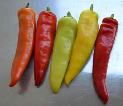 Hungarian Wax Chili, 10 semínek