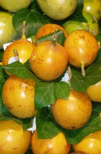 Mučenka žlutá, 20 semen