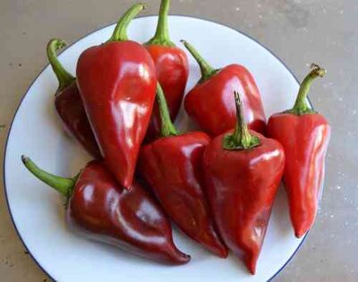 Pimientos Piquillo, 10 semen