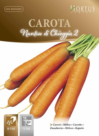 Mrkev Nantese di Chioggia 2, semena 6,5 g.