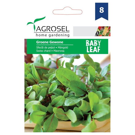 Mangold Perpetual Spinach Groena Gewone, 4 g semen.