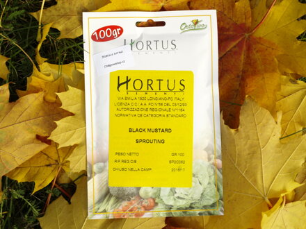 Hořčice černá, semínka ke klíčení a pro pěstování Microgreens