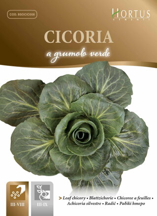 Čekanka listová A Grumolo Verde, 10 g semen. Exp. 12/23.