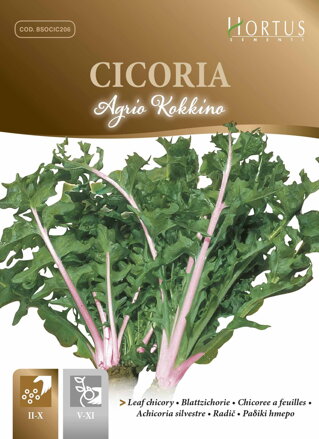 Čekanka listová Agrio Kokkino, 10 g semen. 