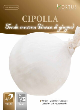 Cibule kuchyňská bílá Tonda musona, 3,5 g semen. 