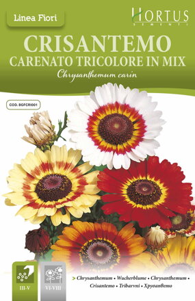 Chryzantéma Carenato Tricolore in Mix, 0,80 g semen