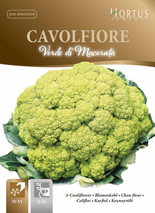 Květák zelený Verde di Macerata, 2 g semen. 