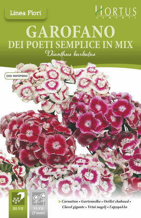 Hvozdík jednoduchý Dei Poeti, mix barev, semena 0,4 g. Exp. 12/24.