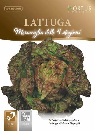 Salát hlávkový Meraviglia delle 4 stagioni, semena 6 g. Exp. 12/24.