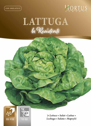 Salát hlávkový la Resistente, semena 6 g. Exp. 12/24.