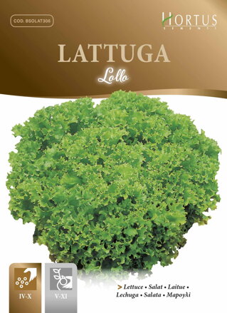 Salát listový Lollo, semena 6 g. Exp. 12/24.