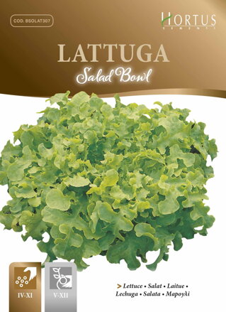 Salát listový Salad Bowl, semena 6 g. Exp. 12/24.