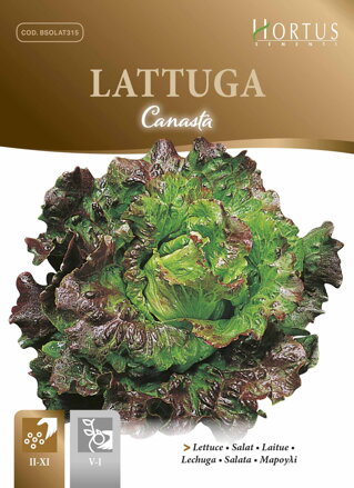 Salát hlávkový Canasta, semena 6 g. Exp. 12/24.