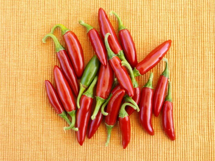 Serrano Chilli plody