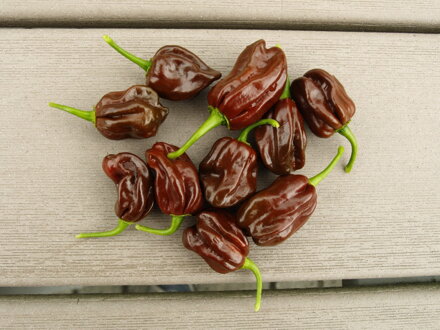 Habanero Chocolate