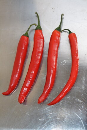 Chilli Serrano, 10 semien