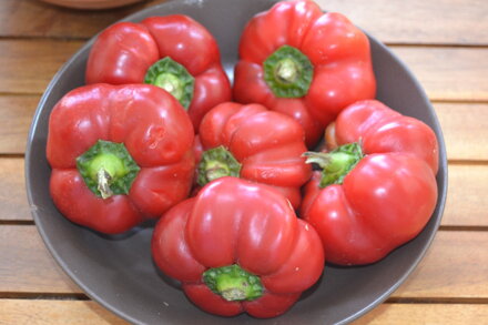 Pimento Tomate, 10 semínek