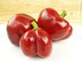 Paprika Traian F1, 20 semínek